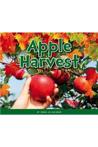 Apple Harvest