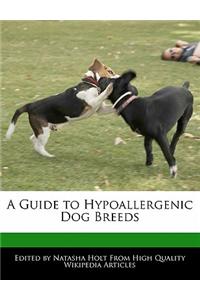 A Guide to Hypoallergenic Dog Breeds