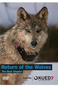Return of the Wolves