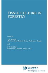 Tissue Culture in Forestry