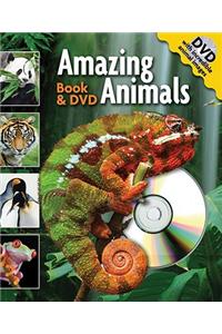 Amazing Animals