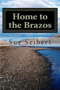 Home to the Brazos: A Painted Post Mystery