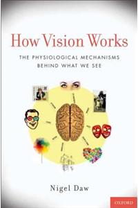 How Vision Works: The Physiological Mechanisms Behind What We See