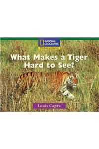 What Makes a Tiger Hard to See?