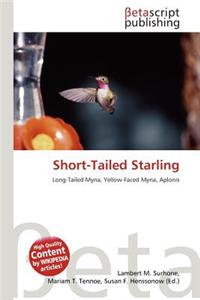 Short-Tailed Starling