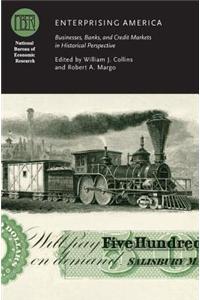 Enterprising America