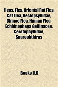 Fleas: Flea, Oriental Rat Flea, Cat Flea, Hectopsyllidae, Chigoe Flea, Human Flea, Echidnophaga Gallinacea, Ceratophyllidae,