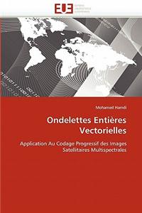 Ondelettes Entieres Vectorielles = Ondelettes Entia]res Vectorielles