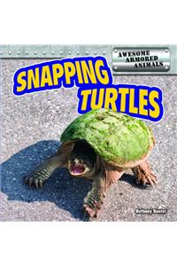 Snapping Turtles