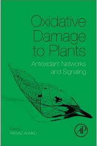 Oxidative Damage to Plants: Antioxidant Networks and Signaling