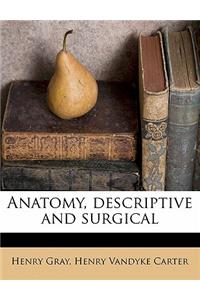 Anatomy, Descriptive and Surgical