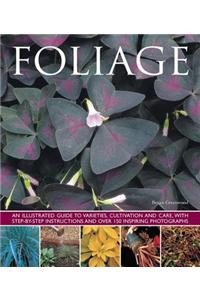 Foliage: An Illustrated Guide to Varieties, Cultivation and Care, with Step-By-Step Instructions and Over 150 Inspiring Photogr