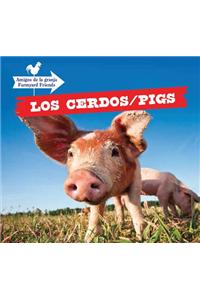 Los Cerdos / Pigs