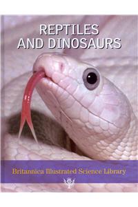 Reptiles and Dinosaurs