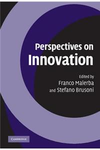 Perspectives on Innovation