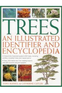Trees: An Illustrated Identifier and Encyclopedia