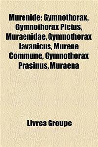 Murnid: Gymnothorax, Gymnothorax Pictus, Muraenidae, Gymnothorax Javanicus, Murne Commune, Gymnothorax Prasinus, Muraena
