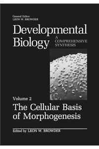 Cellular Basis of Morphogenesis