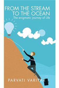 From the Stream to the Ocean: The Enigmatic Journey of Life