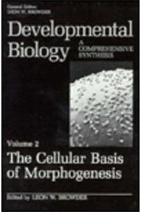 The Cellular Basis of Morphogenesis