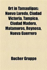 Ort in Tamaulipas: Nuevo Laredo, Ciudad Victoria, Tampico, Ciudad Madero, Matamoros, Reynosa, Nueva Guerrero