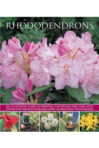 Rhododendrons: An Illustrated Guide to Varieties, Cultivation and Care, with Step-By-Step Instructions and Over 135 Beautiful Photogr