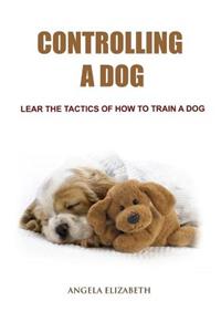 Coaching a Dog: How to Teach a Dog to Behave