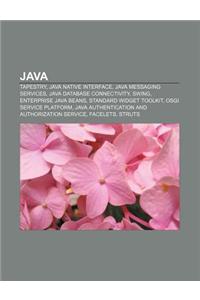 Java: Tapestry, Java Native Interface, Java Messaging Services, Java Database Connectivity, Swing, Enterprise Java Beans