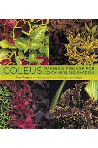 Coleus: Rainbow Foliage for Containers and Gardens