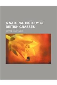 A Natural History of British Grasses