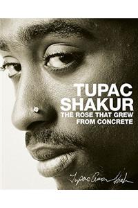 Rose That Grew from Concrete