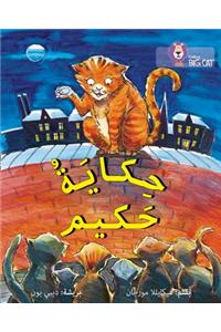 Hakim's Tale: Level 13