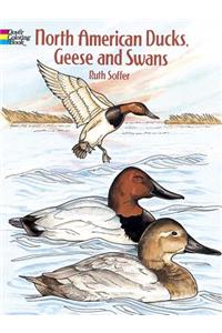 North American Ducks, Geese and Swans