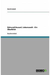 Edmund Husserl, Lebenswelt - Ein Uberblick