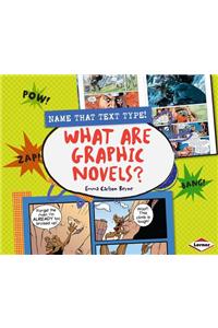 What Are Graphic Novels?