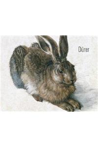 Duerer