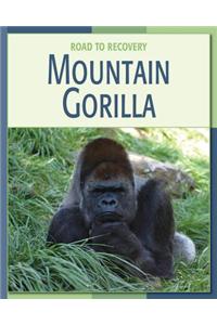 Mountain Gorilla Mountain Gorilla