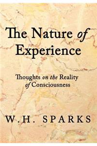 The Nature of Experience: Thoughts on the Reality of Consciousness