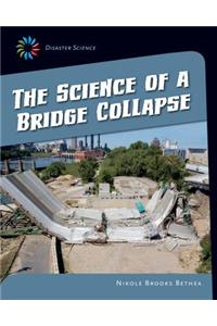 The Science of a Bridge Collapse