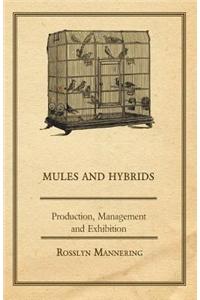 Mules and Hybrids - Production, Management and Exhibition