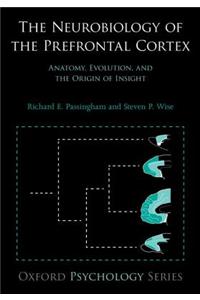 The Neurobiology of the Prefrontal Cortex: Anatomy, Evolution, and the Origin of Insight
