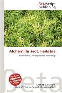 Alchemilla Sect. Pedatae