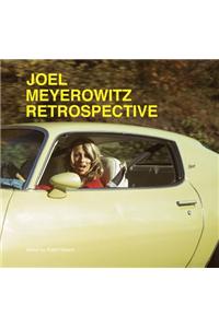 Joel Meyerowitz: Retrospective