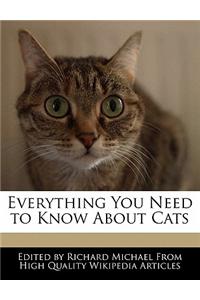 Everything You Need to Know about Cats