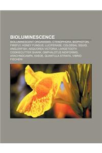 Bioluminescence: Bioluminescent Organisms, Ctenophora, Biophoton, Firefly, Honey Fungus, Luciferase, Colossal Squid, Anglerfish
