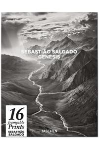 Salgado