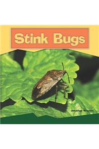 Stink Bugs