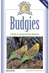 Budgies: A Guide to Caring for Your Parakeet