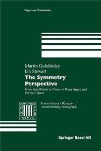 Symmetry Perspective