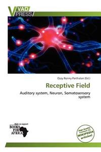 Receptive Field